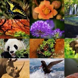 Patrones y tipos de biodiversidad