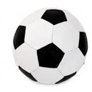 la pelota