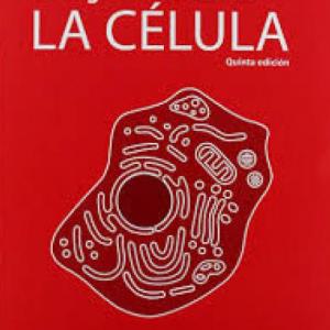 CÉLULA EUCARIOTA
