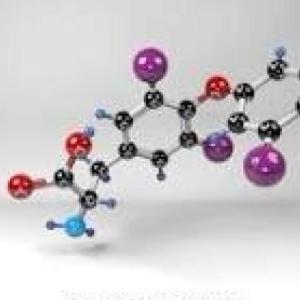 BIOMOLÉCULAS