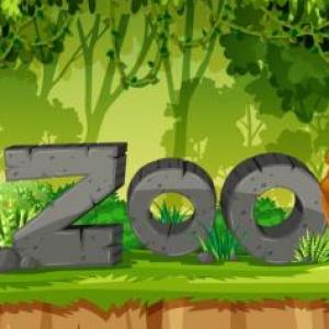 MEMORIA ZOO