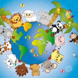 MUNDO ANIMAL: ¡A BUSCAR ANIMALES!
