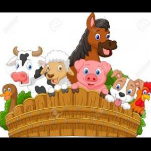 Animales de la granja