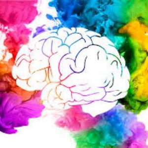 neuropsicología cognitiva