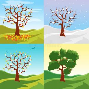 Seasonal Activities - Memory Game