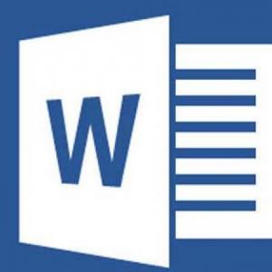 Ms word-Duchazo
