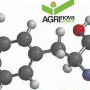 Biomoléculas Orgánicas 