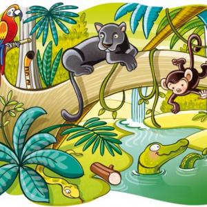 Animalia