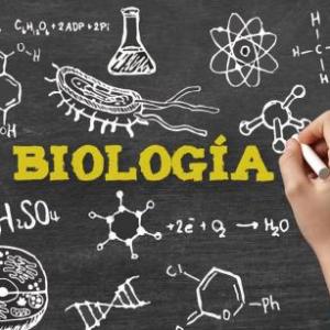 Biología molecular del gen