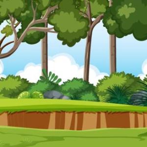 CONOCEMOS FRUTAS Y ANIMALES