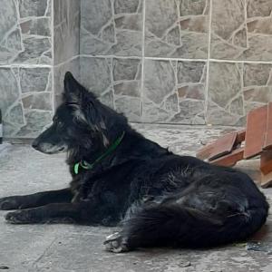 Maxi Quidel