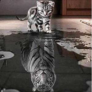 Oveja o Tigre ??