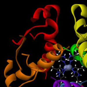 ENDOCRINOLOGÍA UN MUNDO DE LA MEDICINA
