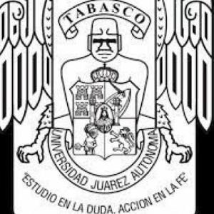 Programas y Manual del Departamento de Enfermería