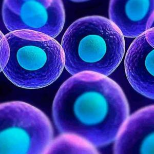 Proyecto Biología