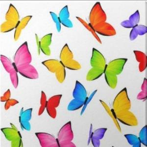 Imagen de portada del videojuego educativo: Desafío de la mariposa, de la temática Matemáticas