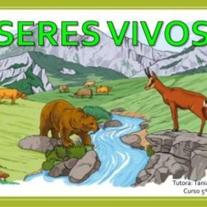 Los seres vivos