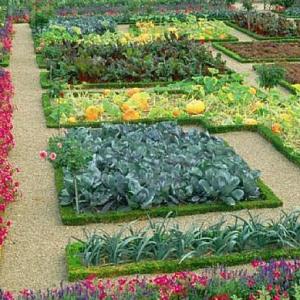 MEMOTEST DE HUERTA Y JARDINERIA