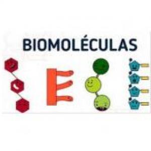 Biomoléculas