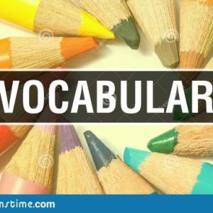 VOCABULARY REVIEW
