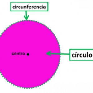 Conociendo la circunferencia.