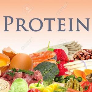 Imagen de portada del videojuego educativo: Super Protein , de la temática Alimentación