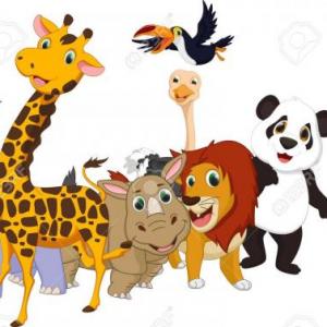 ANIMALS
