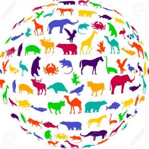 ANIMALS 3!
