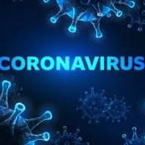 coronavirus / Covid-19
