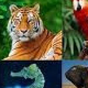 RECURSOS NATURALES