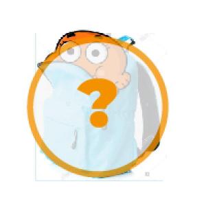 Which School Item is it?
