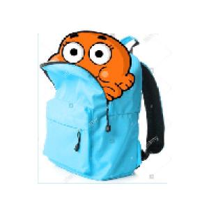 School Items 