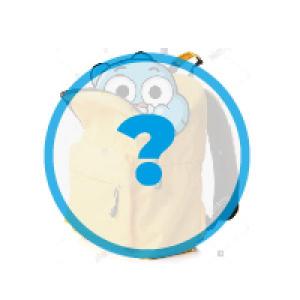 Which School Item is it?