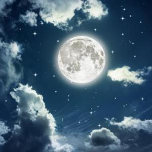 FASES DE LA LUNA