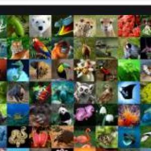 Biodiversidad