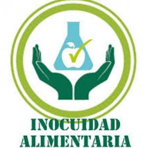 INOCUIDAD
