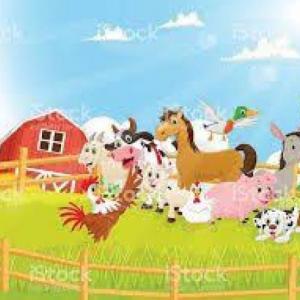 Animales de la granja