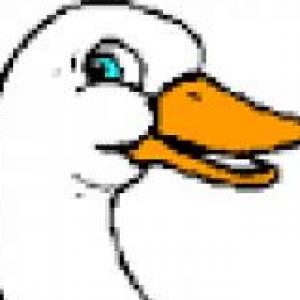 JUEGO DE LA OCA