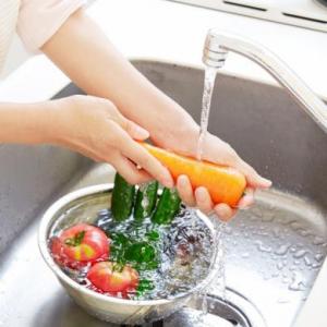 HIGIENE DE ALIMENTOS 