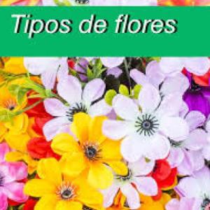 Tipos de Flores