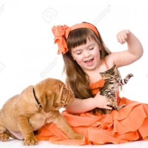 Conociendo los animales domésticos