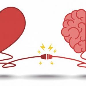 habilidades Socioemocionales