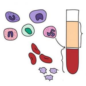 Tejido Sanguíneo y Hematopoyesis