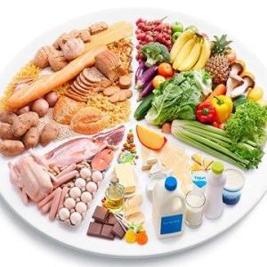 Tipos de alimentos