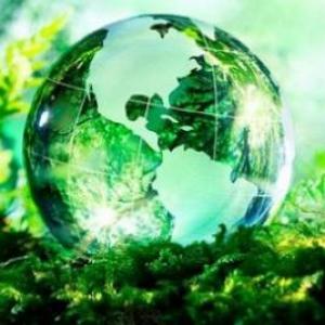 Medio Ambiente