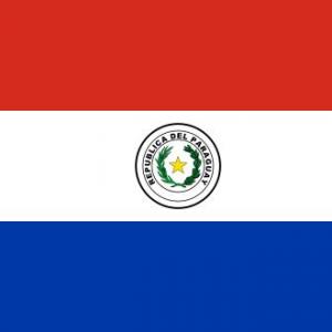 Juego de pensamiento Dictadura de Paraguay