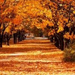 Otoño