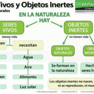 OCA DE SERES VIVOS Y SERES INERTES