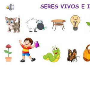 Imagen de portada del videojuego educativo: CARACTERÍSTICAS DE LOS SERES VIVOS, de la temática Ciencias