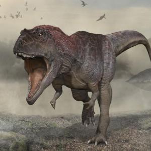 Memotest para expertos en DINOS